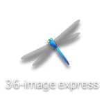 36-image express